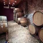 DO-Priorat-Coastal-wines-celler-enoguia-05