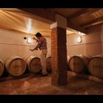 celler-ronadelles-cap-de-ruc-visita-enoturisme-09