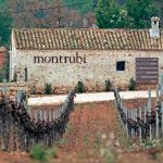 Montrubi-celler-bodega-winery-hotel-penedes-02