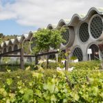 Celler-Mas-tinell-enoguia-do-cava-do-penedes-10-