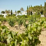 Finca-Viladellops-do-penedes-garraf-enoguia-02